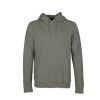 Clothing * | Colorful Standard Classic Organic Hood Classical Green