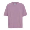 Clothing * | Colorful Standard Oversized Organic T-Shirt Top Selling Purple